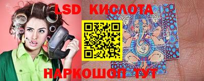 прущие грибы Гусиноозёрск