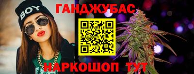 прущие грибы Гусиноозёрск