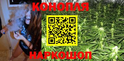 прущие грибы Гусиноозёрск