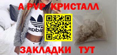 прущие грибы Гусиноозёрск