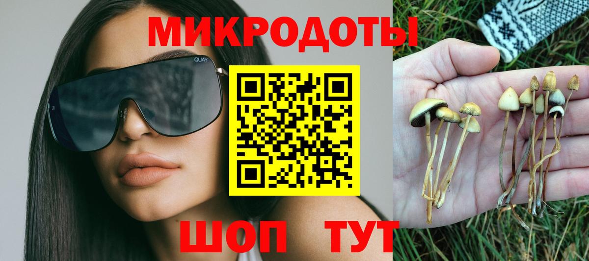 Псилоцибиновые грибы Magic Shrooms  Вход с VPN  Назрань  Галлюциногенные грибы Psilocybe 